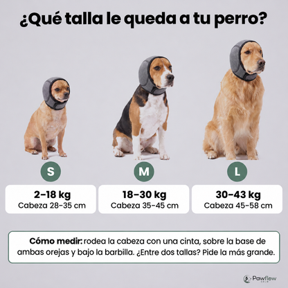 Guía de tallas Pawflow Calm
